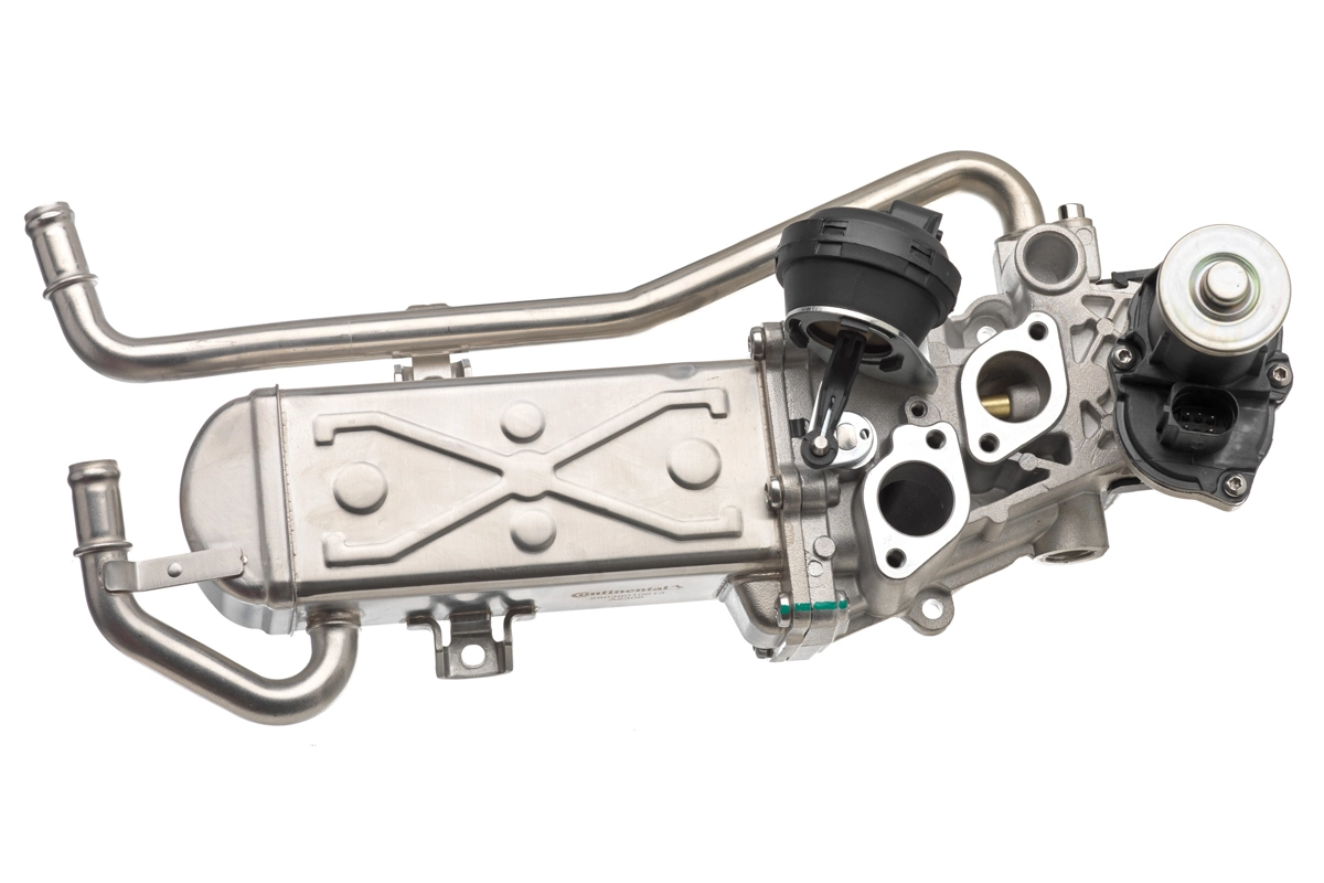 EGR Valve