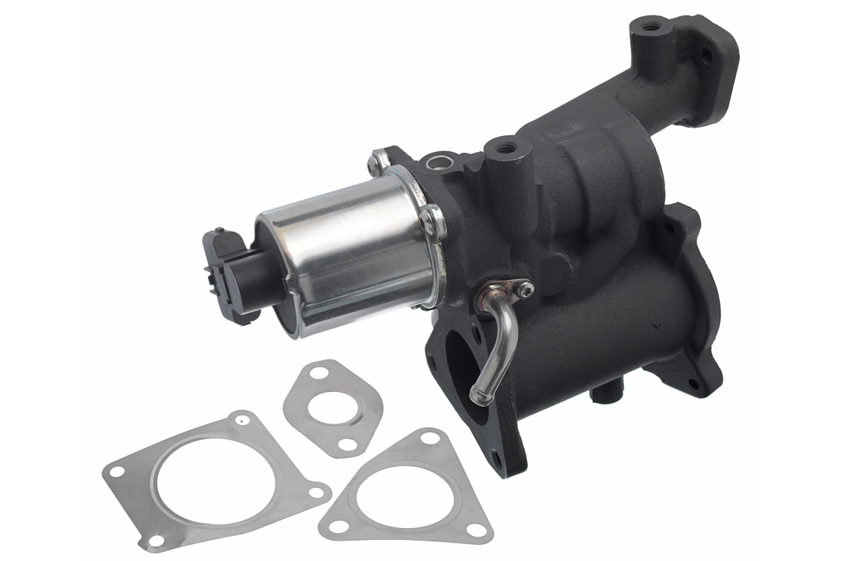 EGR Valve