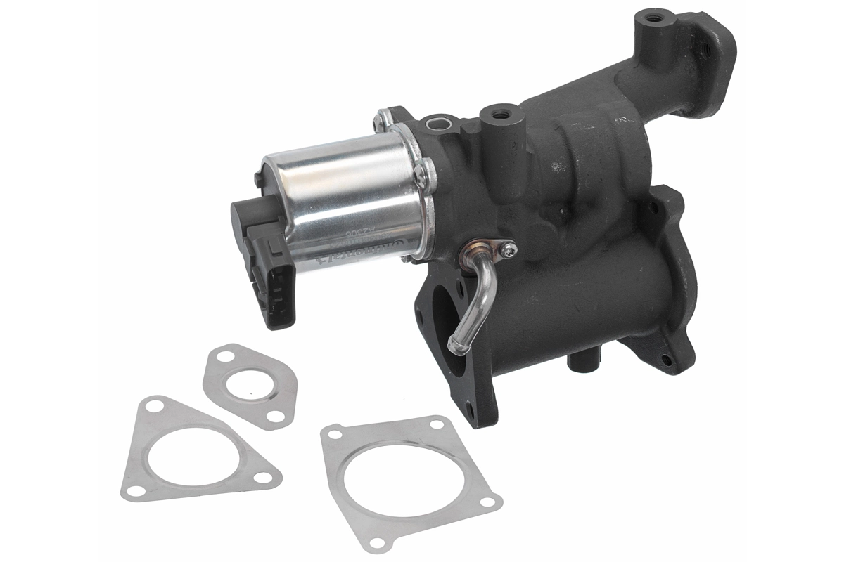 EGR Valve
