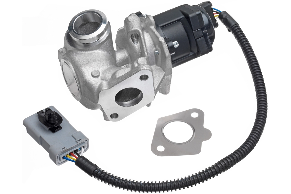 EGR Valve