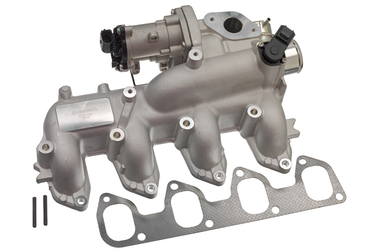EGR Valve