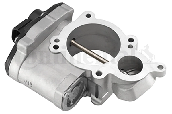 EGR Valve