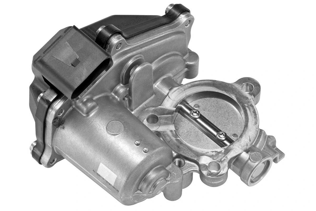 EGR Valve
