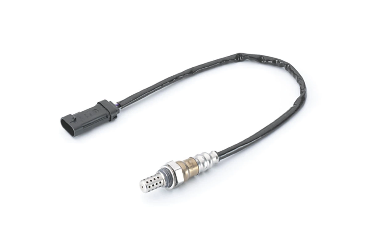 Oxygen Sensor
