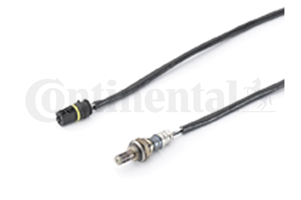 Oxygen Sensor