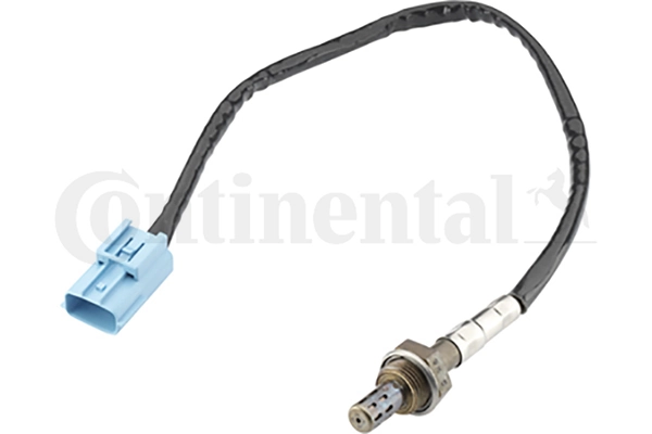 Oxygen Sensor