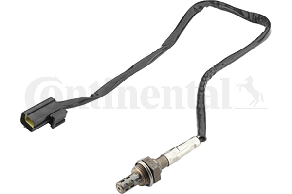 Oxygen Sensor