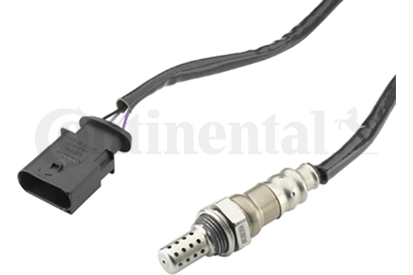 Oxygen Sensor