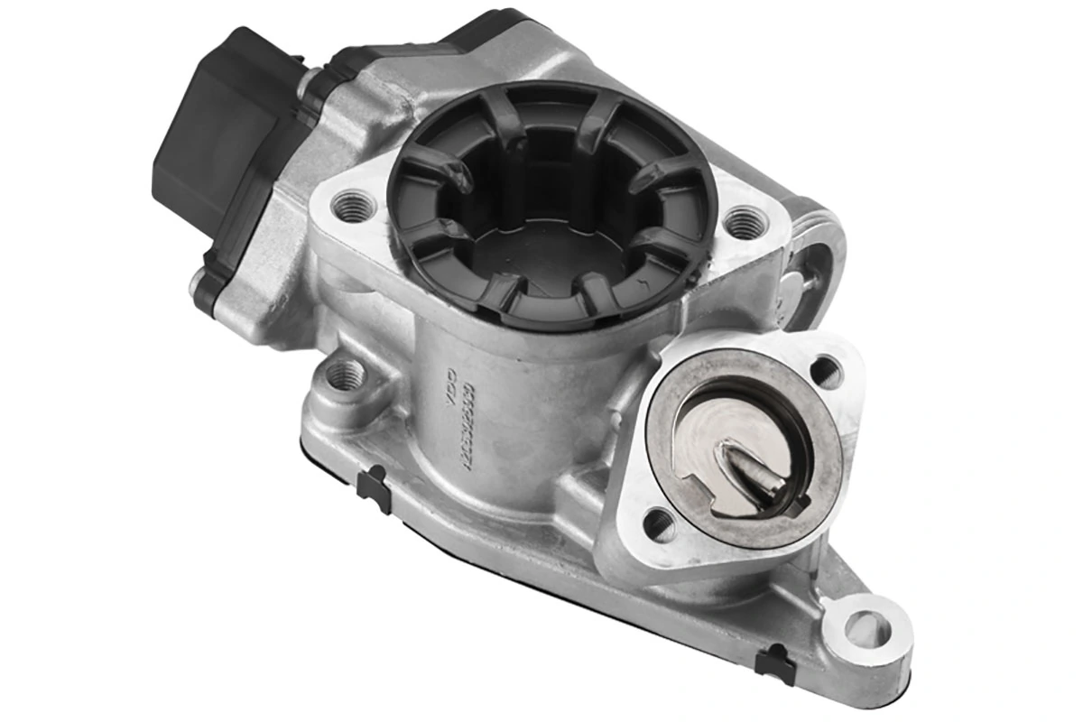 EGR Valve