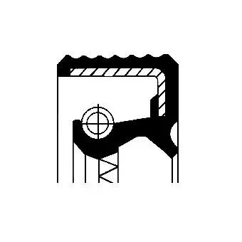 Shaft Seal, differential