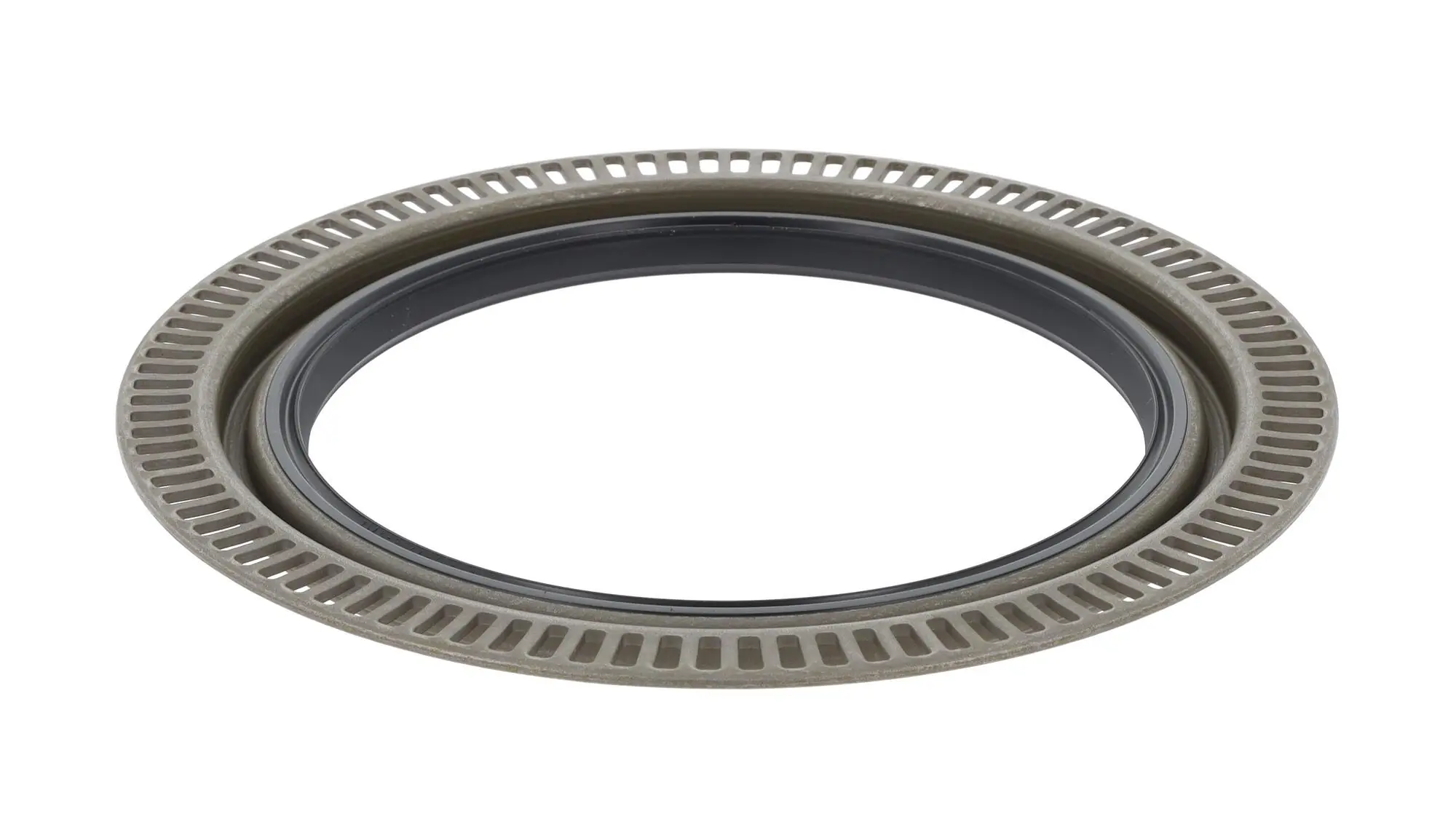 Shaft Seal, differential