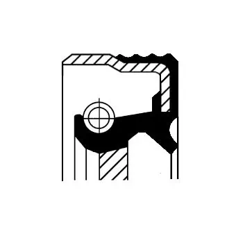 Shaft Seal, differential