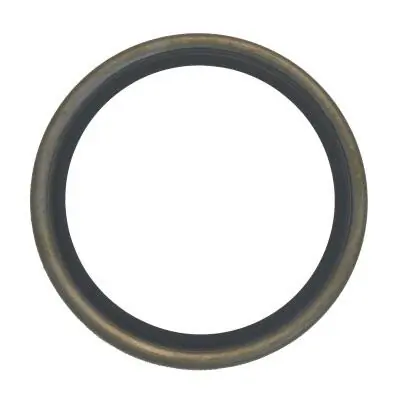 Seal Ring, steering knuckle