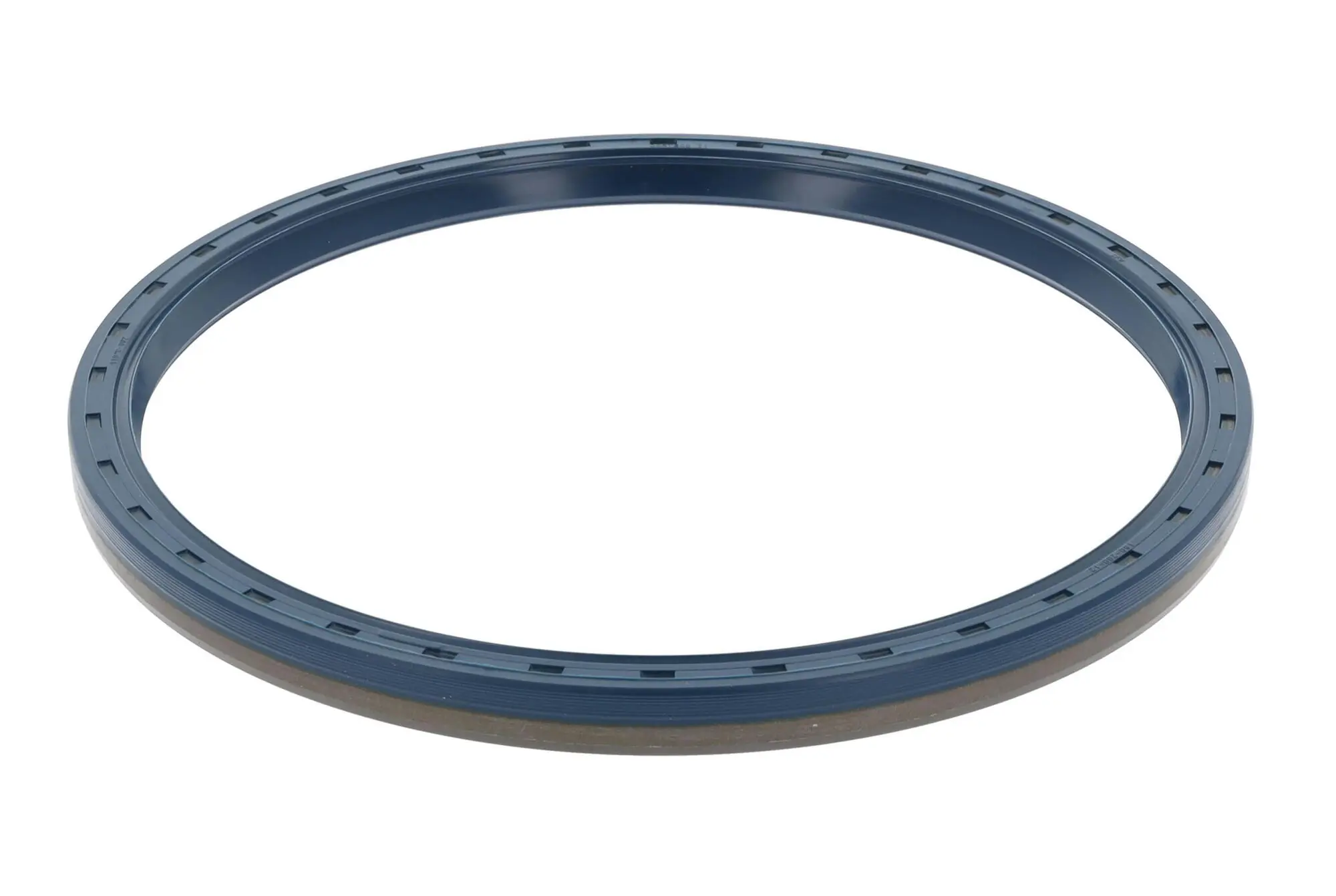 Shaft Seal, differential