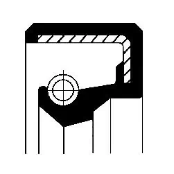 Seal Ring