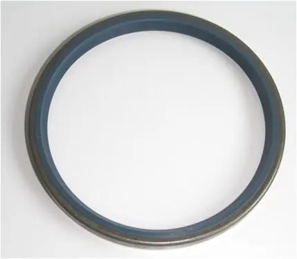 Shaft Seal, wheel hub