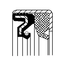 Seal Ring