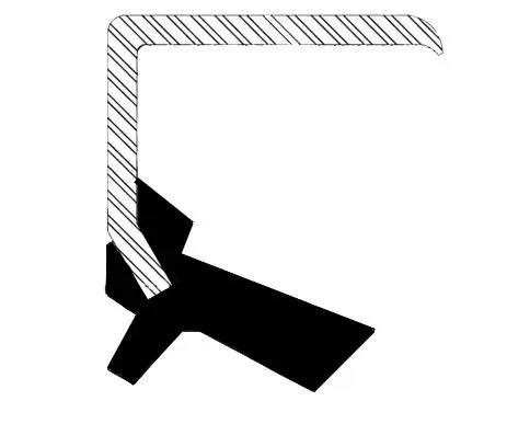 Shaft Seal, differential