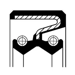 Shaft Seal, differential