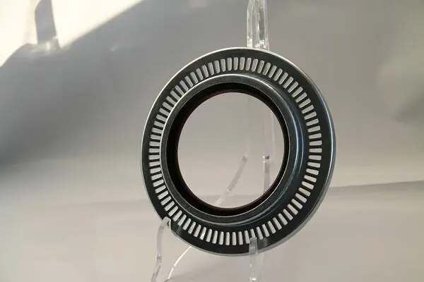Shaft Seal, wheel hub