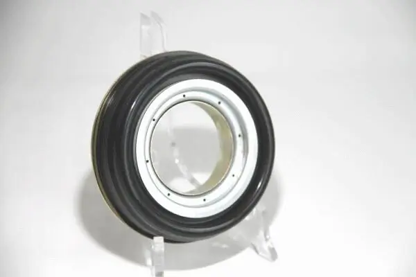 Shaft Seal, wheel hub