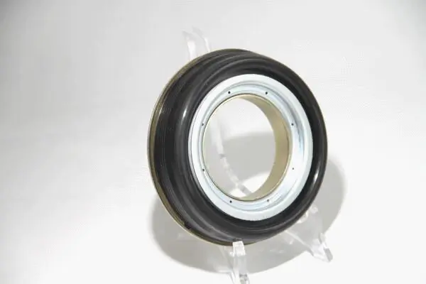 Shaft Seal, wheel hub