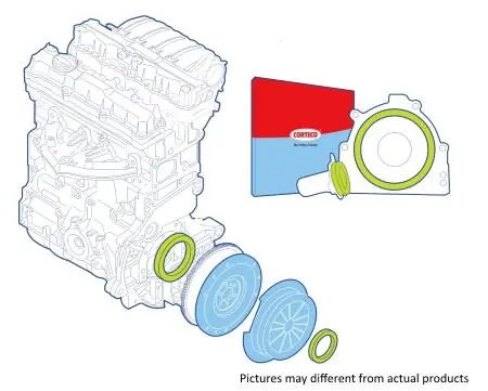Shaft Seal Set, clutch