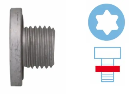 Screw Plug, oil sump