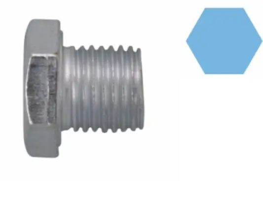 Screw Plug, oil sump