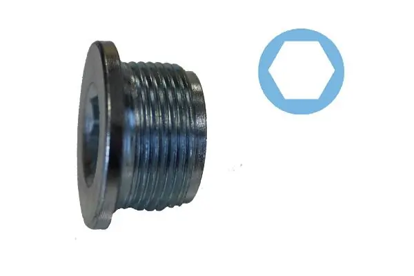 Screw Plug, oil sump