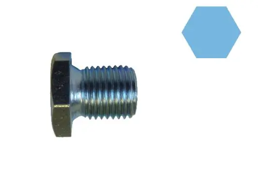 Screw Plug, oil sump