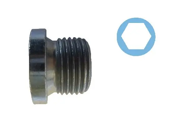 Screw Plug, oil sump