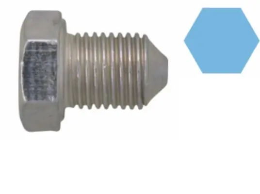 Screw Plug, oil sump