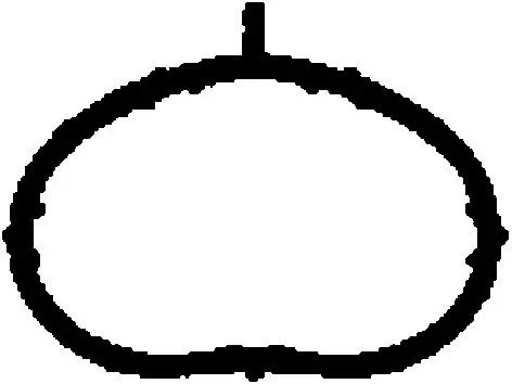 Gasket, intake manifold
