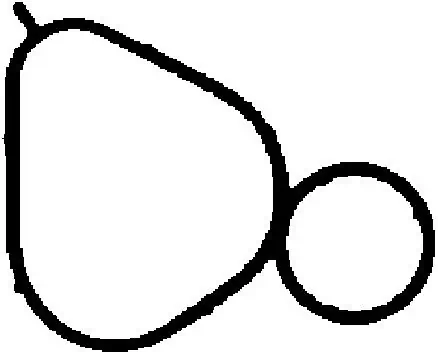 Gasket, intake manifold