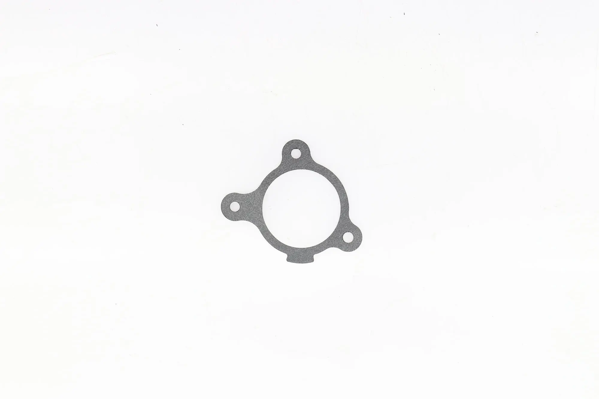Gasket, intake manifold