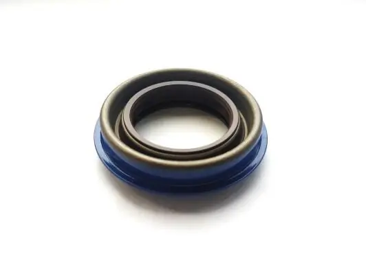 Shaft Seal, differential