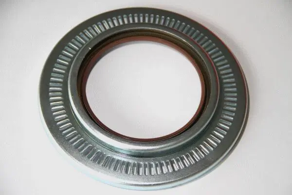 Shaft Seal, wheel hub