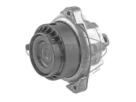 Mounting, engine