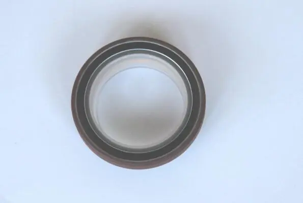Shaft Seal, intermediate shaft