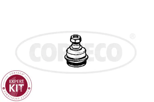 Ball Joint