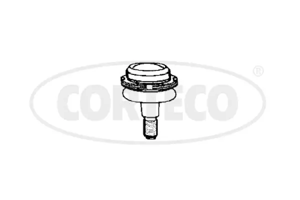 Ball Joint