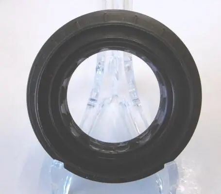 Shaft Seal, differential