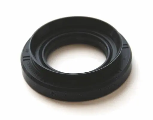 Shaft Seal, differential