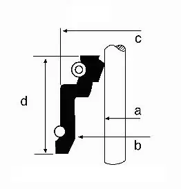 Seal Ring, valve stem
