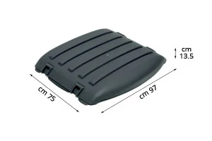 Wing