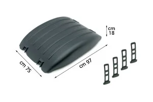 Wing