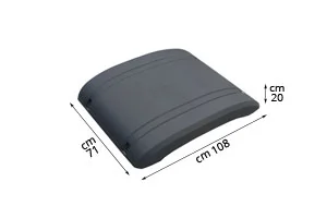 Wing