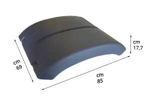 Wing