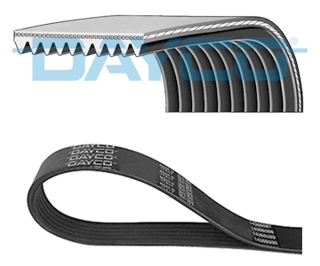 V-ribbed Belt
